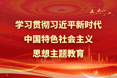进建贯彻习近平新时期中国特色社会主义思想主题教育