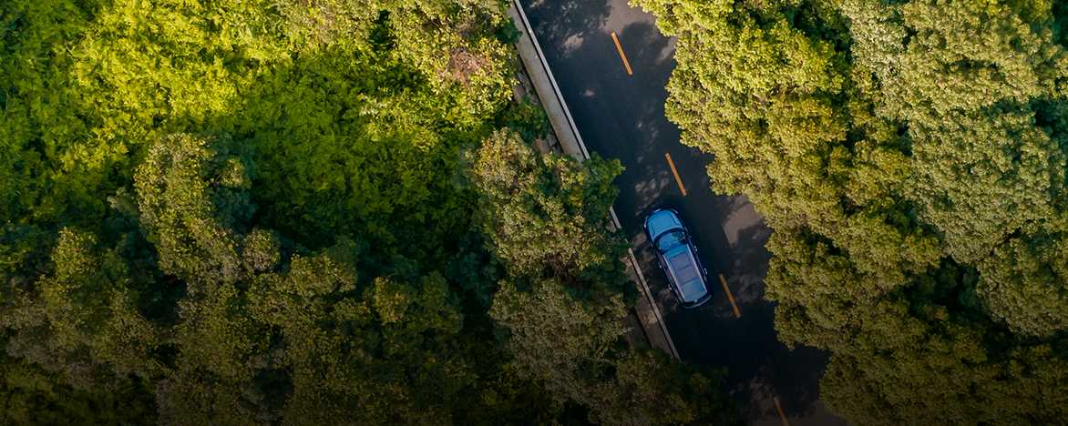 w88win优德(中国区)唯一官方网站